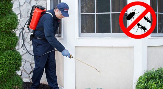 Sultandağı Haşere İlaçlama böcek ilaçlama ve haşere kontrolü — ilaclama-tr.com